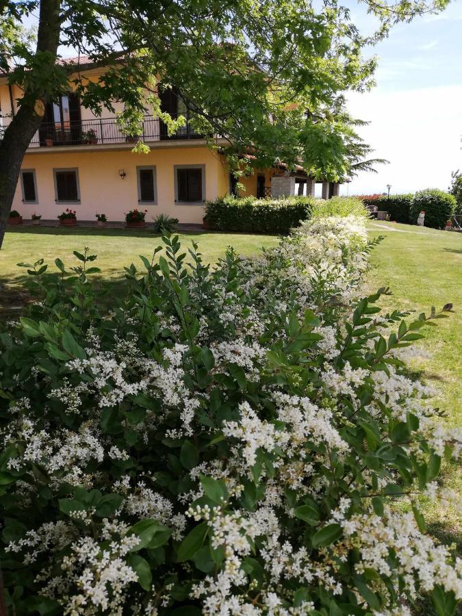 Agriturismo Bella Cima Montefiascone Exterior photo